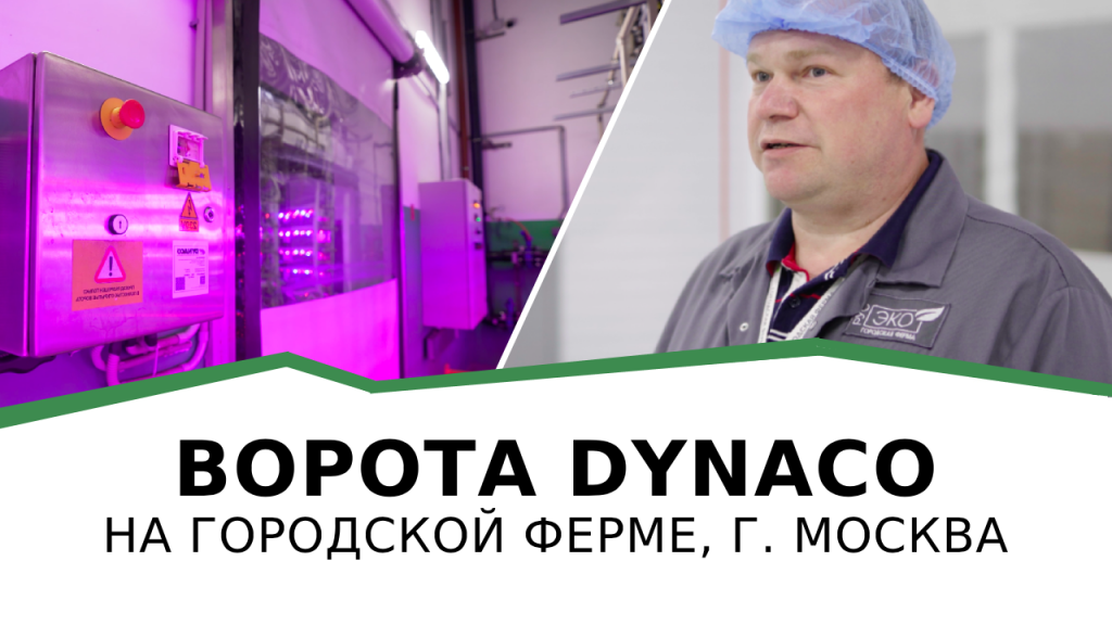пищевое.png